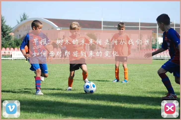 早报：树木的未来何去何从我们该如何面对即将到来的变化